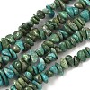 Dyed Natural Magnesite Beads Strands G-M448-D01-01-2