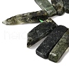 Natural Prehnite Beads Strands G-S386-D06-4