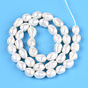 Natural Cultured Freshwater Pearl Beads Strands PEAR-N014-06I-3
