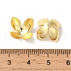 Rack Plating Brass Flower Bead Caps KK-K381-06B-G01-3
