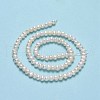 Natural Cultured Freshwater Pearl Beads Strands PEAR-F018-05-3