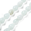 Natural Amazonite Beads Strands G-P520-B10-01-1