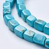 Natural Magnesite Beads Strands TURQ-K003-11C-3