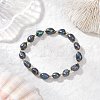 Natural Cultured Freshwater Pearl Beads Stretch Bracelets for Women BJEW-JB11997-1