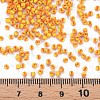 Glass Seed Beads SEED-R001-8-4