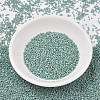 MIYUKI Delica Beads SEED-X0054-DB2313-2