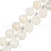 Natural White Moonstone Beads Strands G-G182-B09-05-2