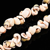Natural Sea Shell Beads Strands BSHE-E026-14-4