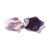 Natural Amethyst Beads G-M379-43-3