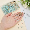 ARRICRAFT 2 Strands 2 Colors Natural Flower Amazonite Chip Beads Strands G-AR0005-98-5