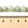 Natural Chrysoprase Beads Strands G-G259-D16-5mm-5