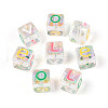 Transparent Acrylic Beads TACR-T028-56-1