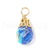 Electroplate Glass Pendants PALLOY-JF03958-01-3