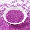 MIYUKI Round Rocailles Beads SEED-G007-RR0209-2