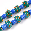 Handmade Lampwork Beads Strands X-LAMP-N024-09C-2