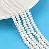Electroplated Shell Pearl Beads Strands BSHE-Z009-11-1