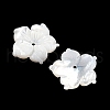 Natural White Shell Carved Beads SSHEL-I026-12E-06-2