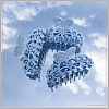 Hollow Cellulose Acetate(Resin) Claw Hair Clips PW-WGEAAC0-01-4