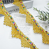 15 Yards Metallic Polyester Lace Trim PW-WG69085-02-4