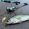 SUPERFINDINGS 60Pcs 5 Styles Iron Fishing Lures FIND-FH0010-43B-6