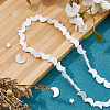 3 Strands 2 Styles Natural Freshwater Shell Beads Strands SHEL-HS0001-10-4