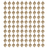 100Pcs Tibetan Style Alloy Pendants PALLOY-GO00037-1