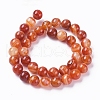 Natural Striped Agate/Banded Agate Beads Strands G-G582-10mm-59-2