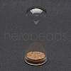 Glass Dome Cloche Cover X-AJEW-P043-2