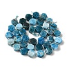 Natural Apatite Beads Strands G-P534-A02-02-3