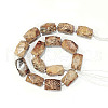 Natural Fossil Coral Beads Strands G-F554-09-3