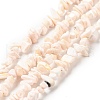 Natural Pink Shell Beads Strands BSHE-G029-02-1