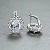 Brass Cubic Zirconia Hoop Earrings WGD6818-05-1