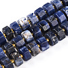 Natural Sodalite Beads Strands G-T140-26-4
