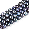 Natural Cultured Freshwater Pearl Beads Strands PEAR-N014-10E-5