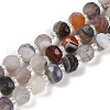 Natural Botswana Agate Beads Strands G-H057-A05-01-2