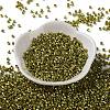 Baking Paint Glass Seed Beads SEED-S042-15A-16-2