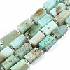 Natural Chrysoprase Beads Strands X-G-S376-013-1