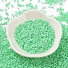 Baking Paint Glass Seed Beads SEED-S042-05B-59-2