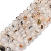 Natural Dendritic Agate Beads Strands G-A248-A07-01-2