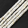 Natural Freshwater Shell Beads Strands BSHE-E026-15A-01-1
