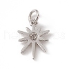 Brass Micro Pave Cubic Zirconia Charms ZIRC-F132-34P-2