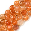 Natural Orange Botswana Agate Beads Strands G-N342-40-2