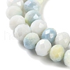 Electroplate Handmade Lampwork Beads Strands LAMP-S068-02O-3