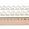 Electroplated Shell Pearl Beads Strands BSHE-G027-13C-5