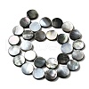 Natural Black Lip Shell Beads Strands BSHE-D300-05-14mm-2