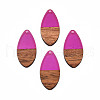 Transparent Resin & Walnut Wood Pendants RESI-N025-032-C05-2