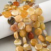 Natural Yellow Botswana Agate Beads Strands G-F790-H04-04-1