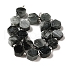 Natural Eagle Eye Stone Beads Strands G-P534-A14-01-3