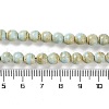 Natural Rainbow Alashan Agate Beads Strands G-NH0022-A01-01-5