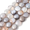 Natural Grey Botswana Agate Beads Strands G-C179-A50-03-2